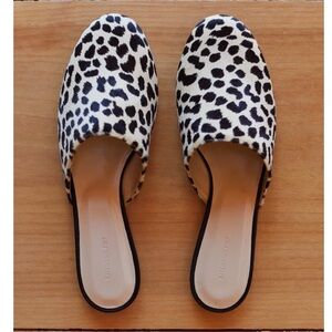 Emerson Fry Emerson Slides